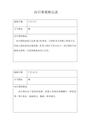 向日葵观察记录