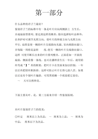 君子兰养殖技巧、辨认好坏技巧大全