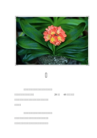 君子兰名贵品种大全