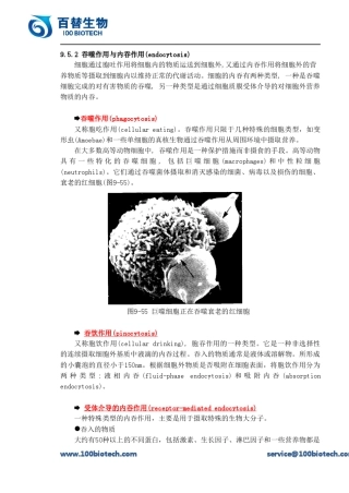 吞噬作用与内吞作用(endocytosis)_