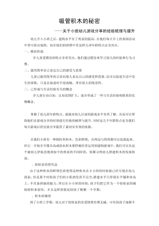 吸管积木的秘密.