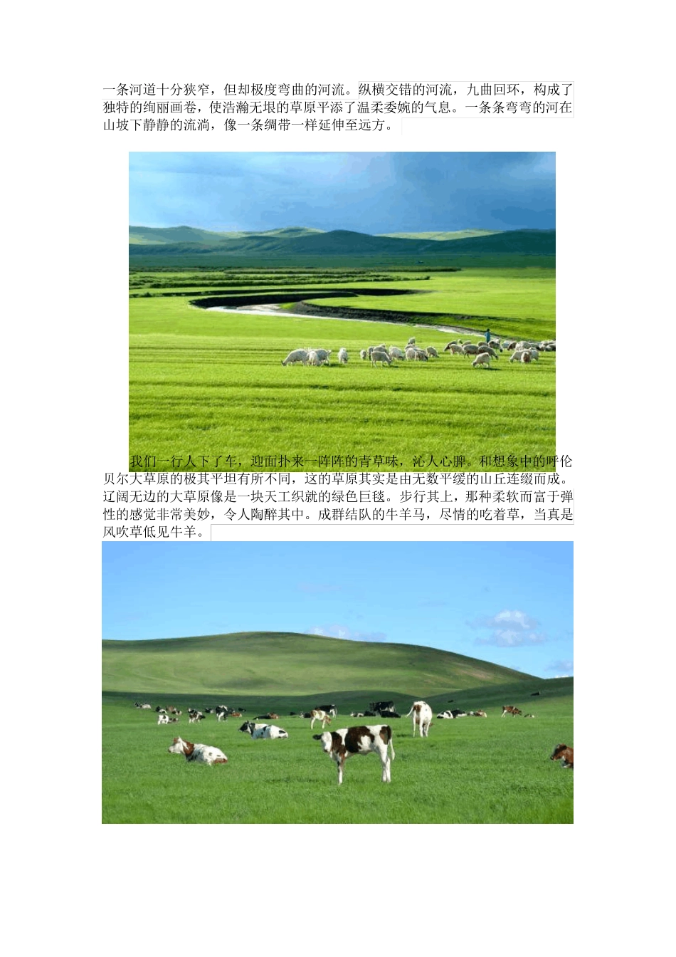 呼伦贝尔大草原旅行游记——最美的回忆_第3页