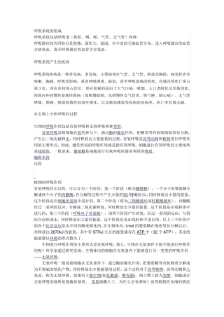 呼吸系统的组成