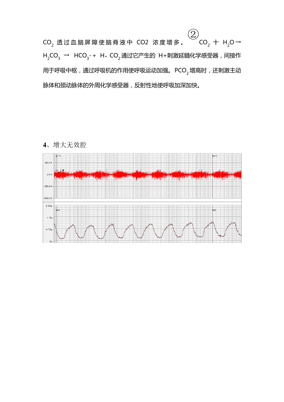 呼吸运动的调节及其影响因素_第3页