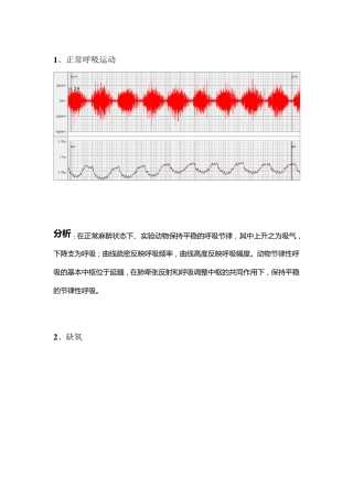 呼吸运动的调节及其影响因素