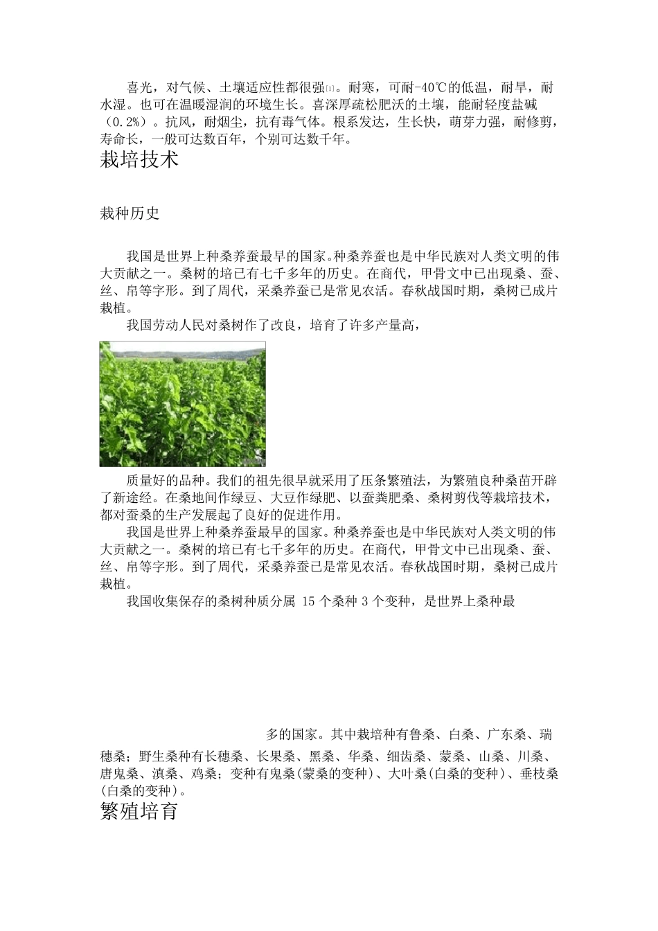 和大家介绍一下桑树及用途_第2页