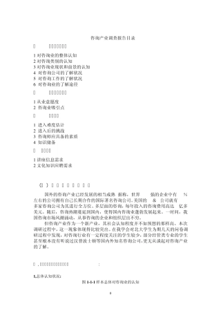 咨询产业调查报告目录