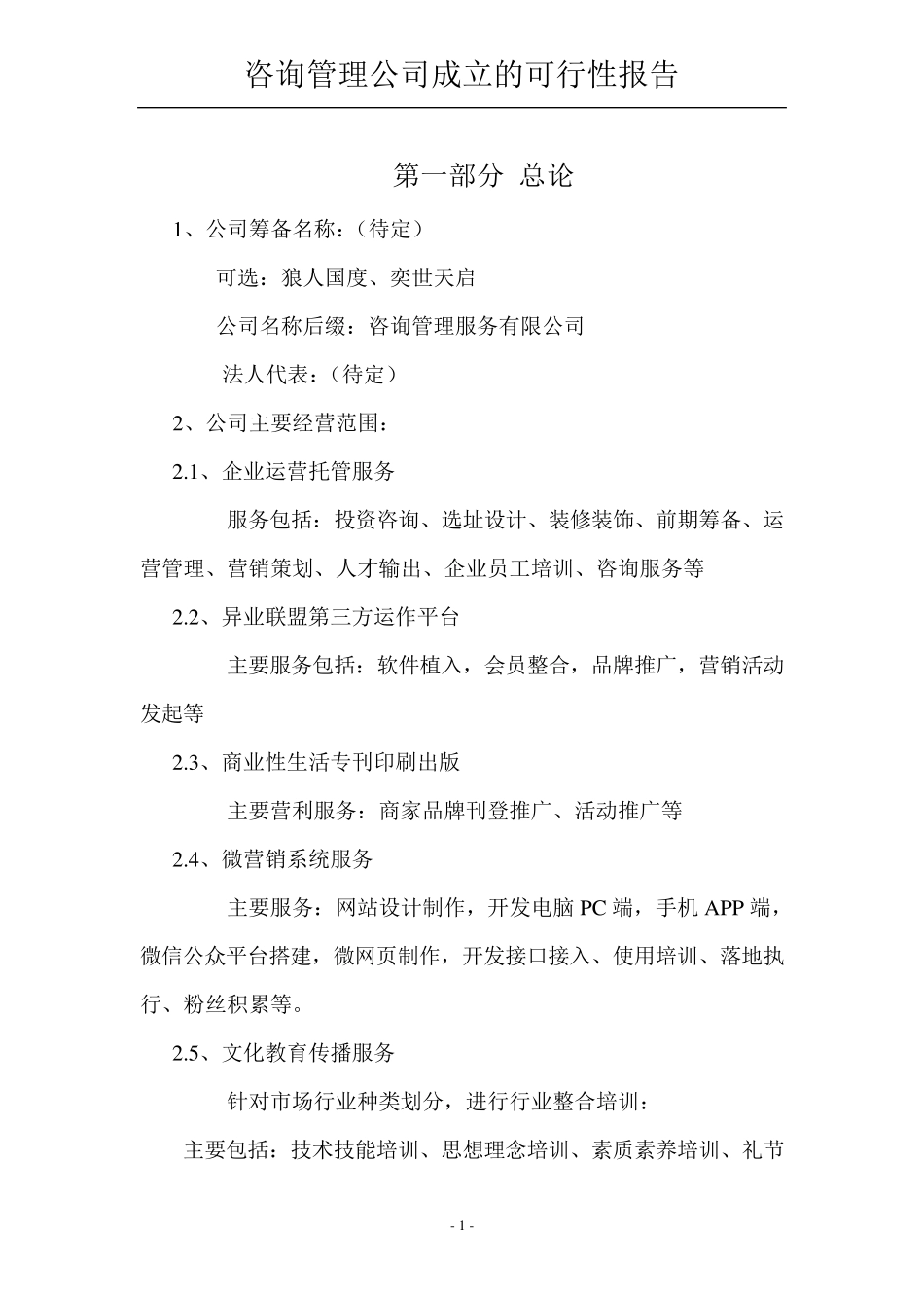 咨询管理公司成立的可行性报告_第1页