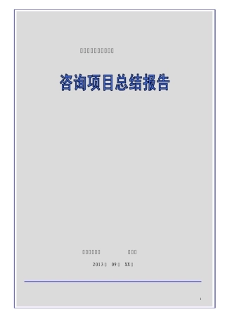 咨询项目总结报告