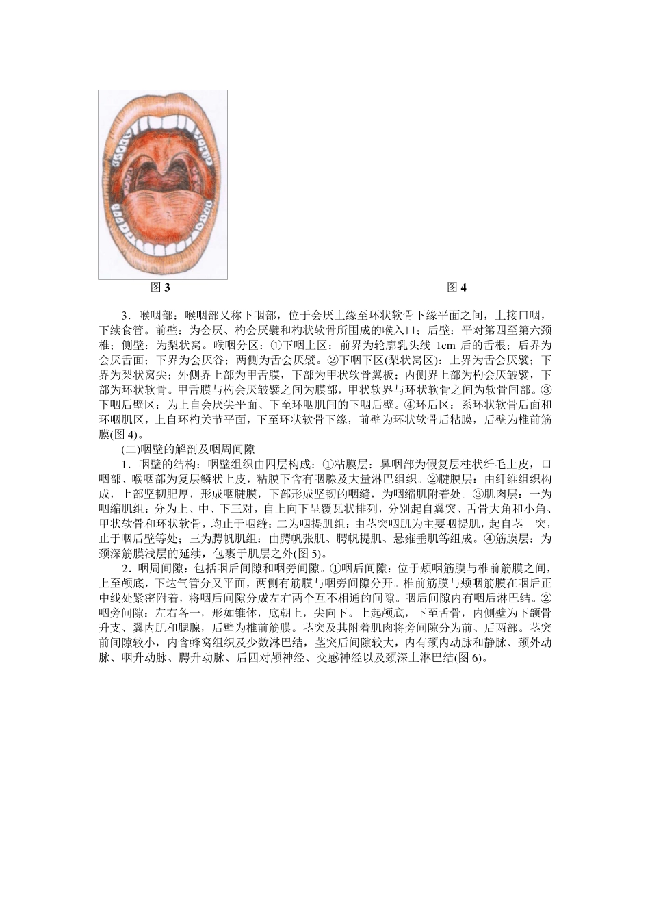 咽部应用解剖_第2页