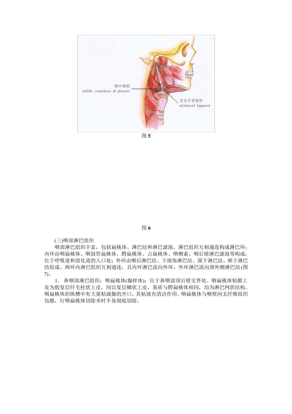 咽部应用解剖_第3页