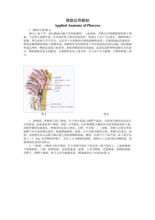 咽部应用解剖