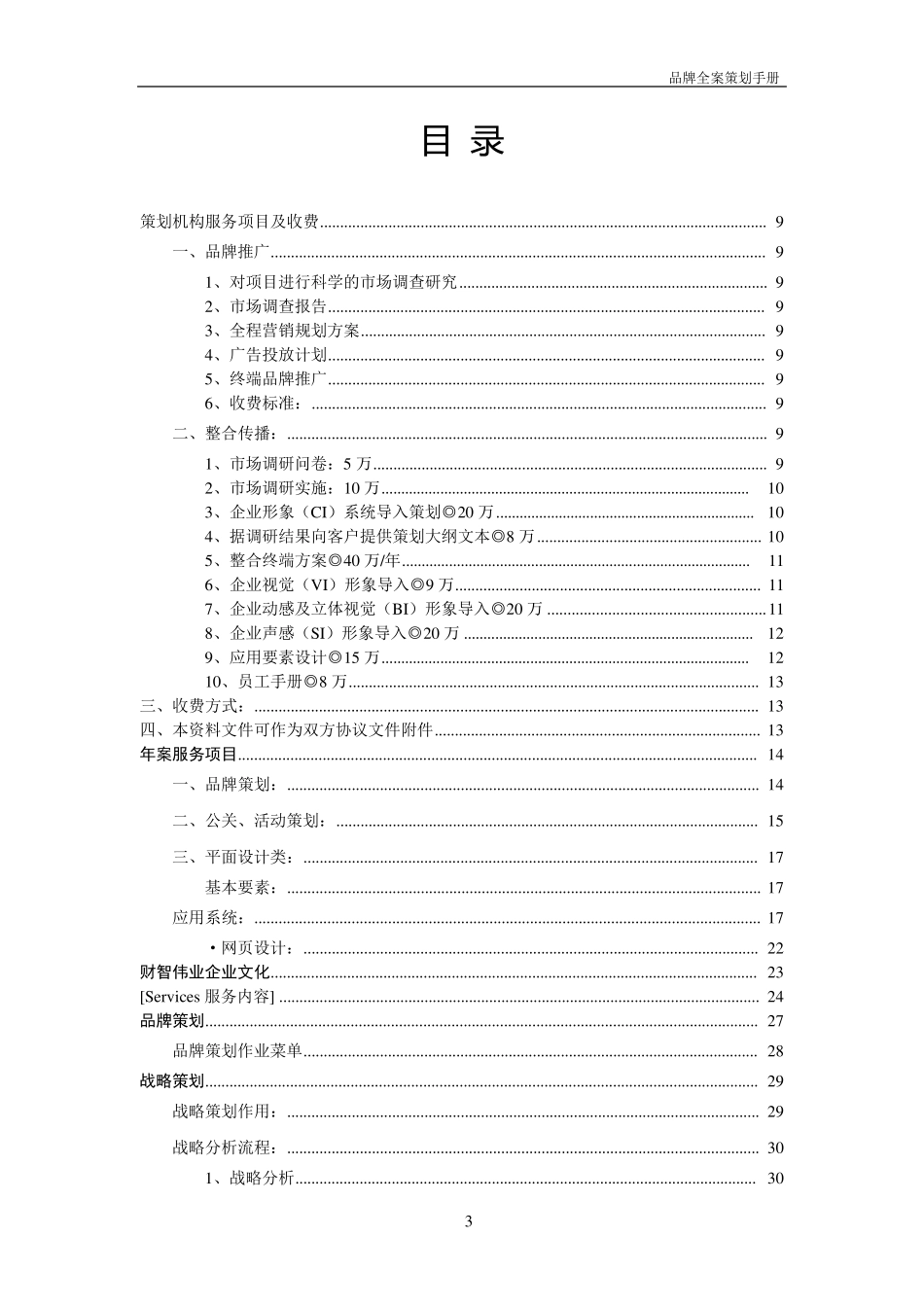 品牌全案策划_第3页