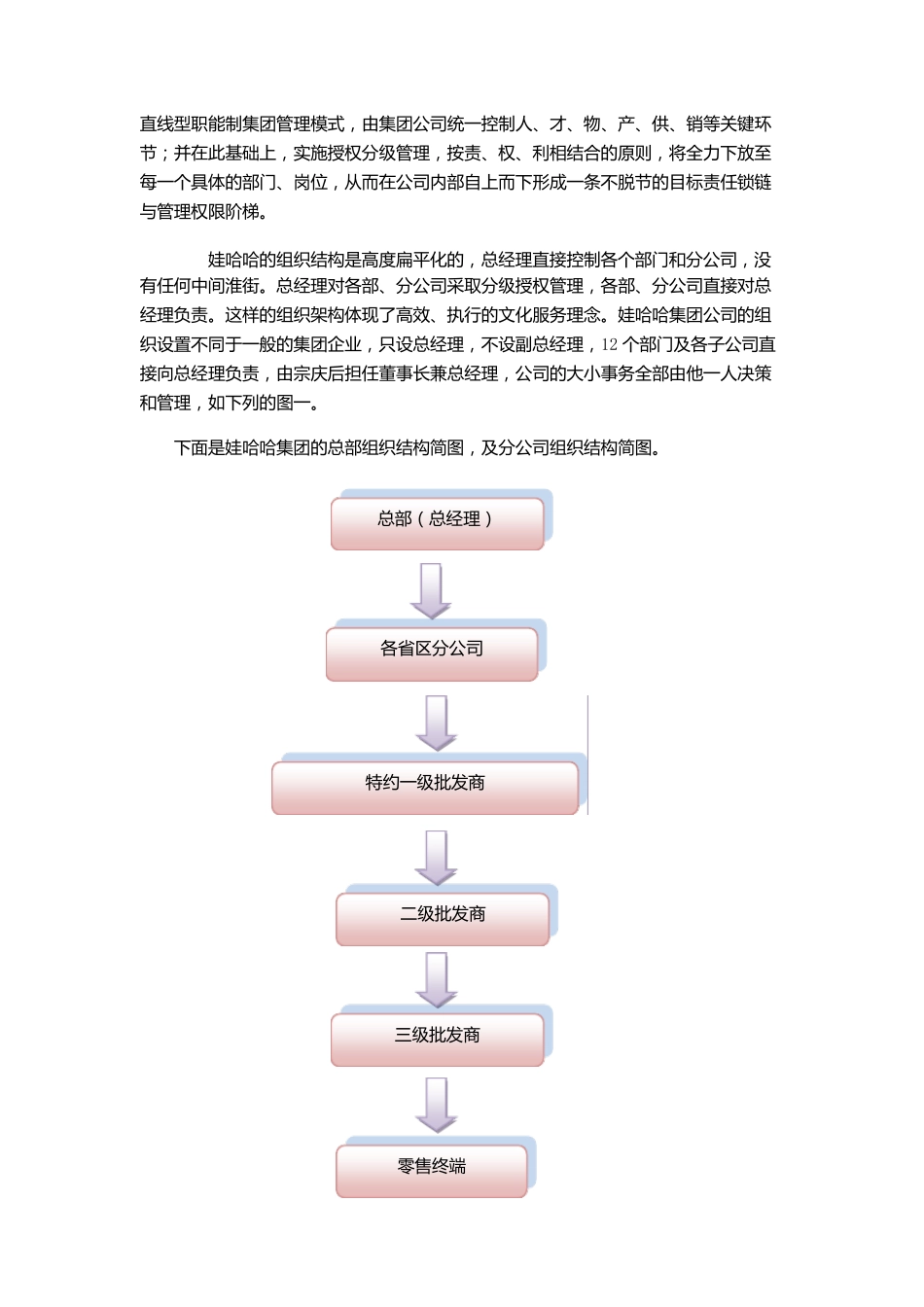哇哈哈销售组织优化图_第2页