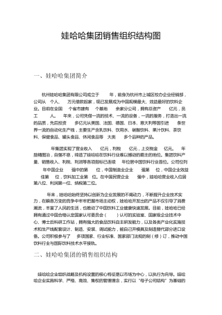 哇哈哈销售组织优化图