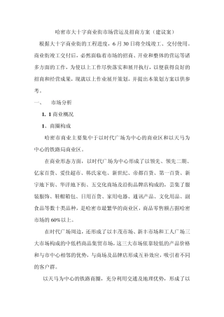 哈密市大十字商业街市场营运及招商方案