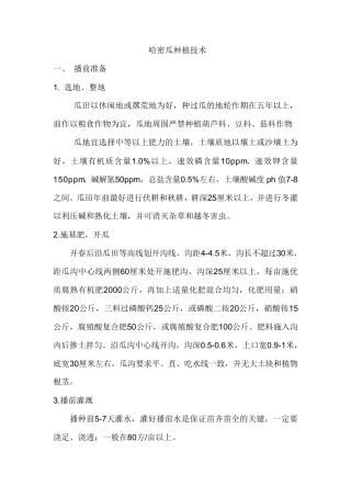 哈密瓜种植技术