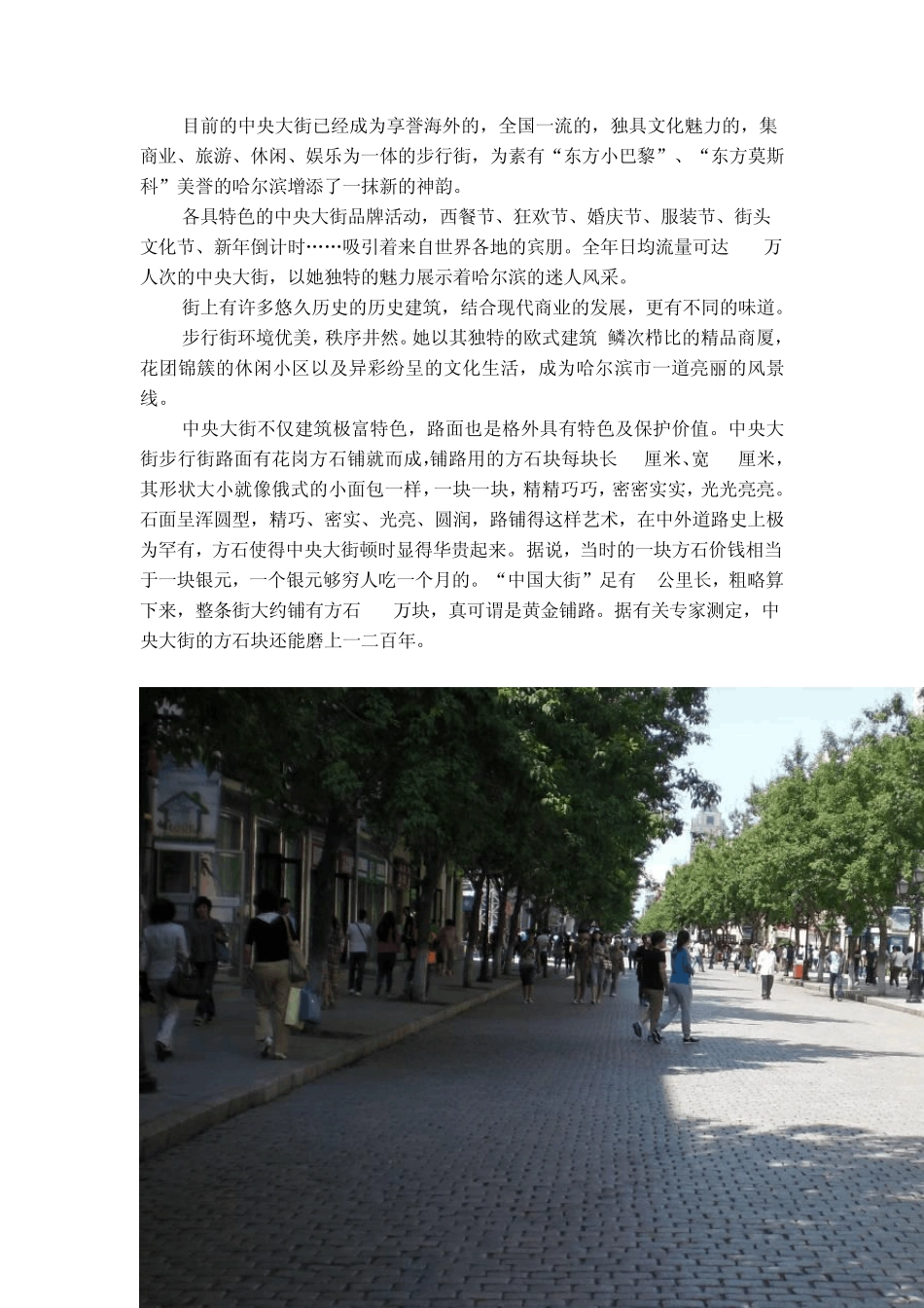 哈尔滨中央大街调研报告_第3页