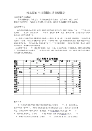 哈尔滨市南岗商圈市场调研报告