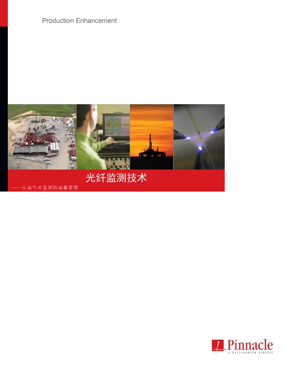 哈里伯顿光纤监测技术_第1页