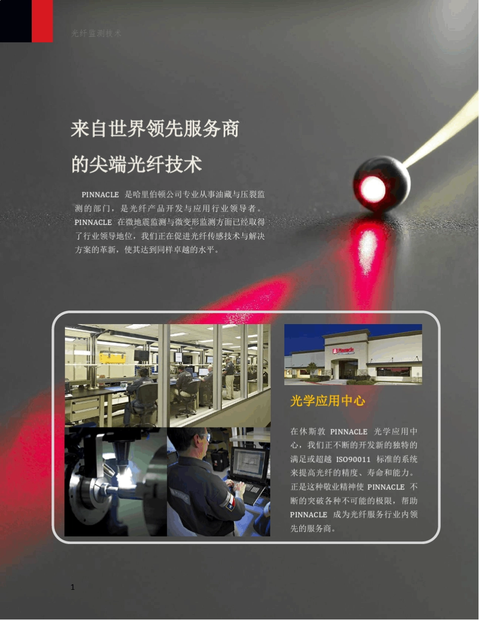 哈里伯顿光纤监测技术_第2页