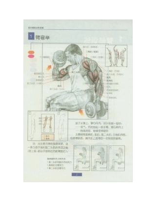 哑铃锻炼全身各部位肌肉方法图解