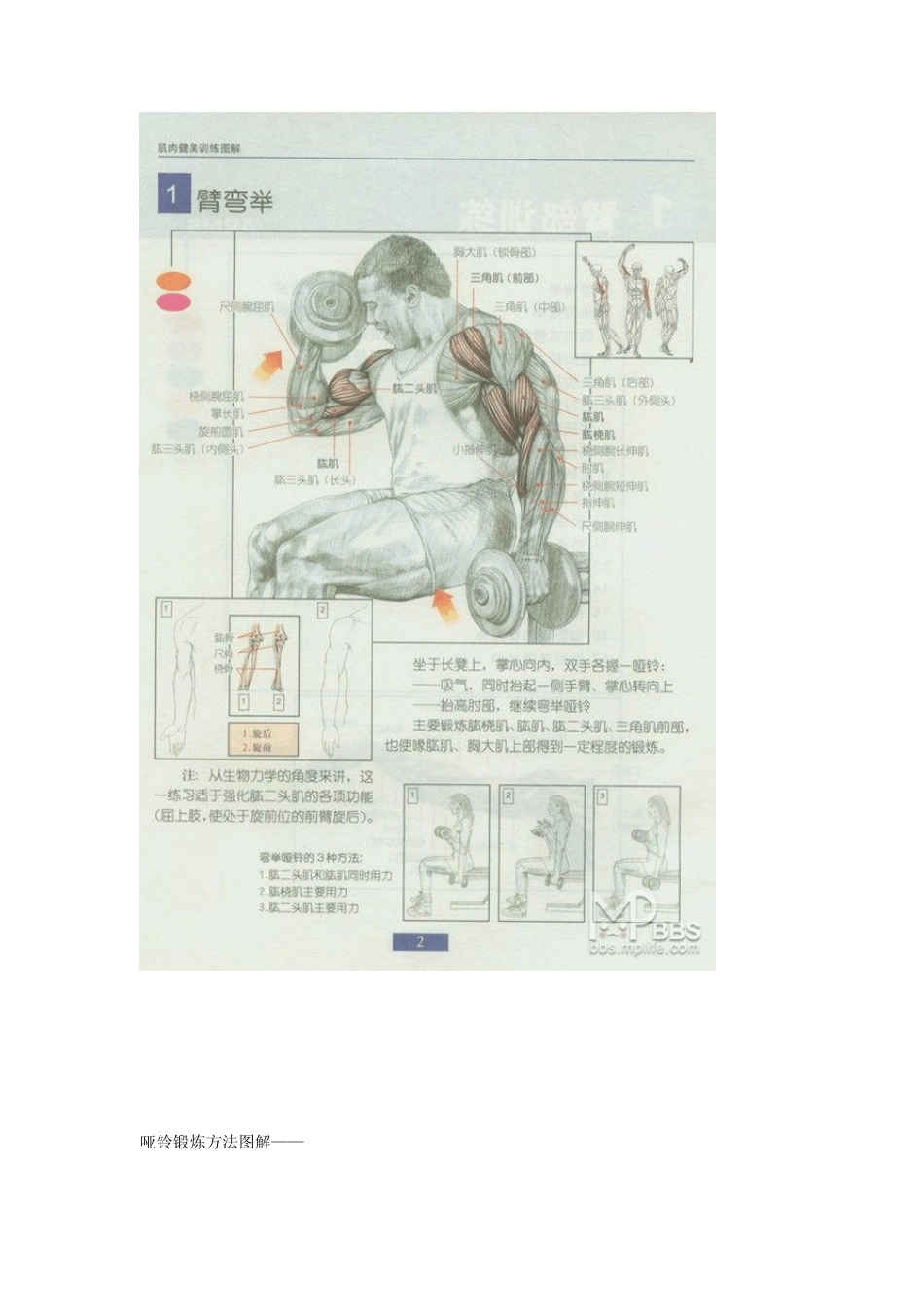 哑铃锻炼方法_第3页