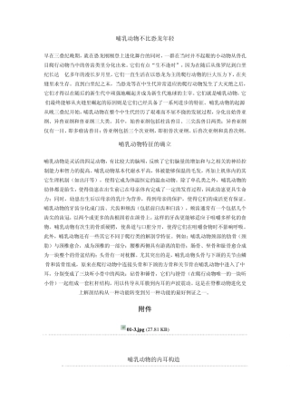 哺乳动物进化史