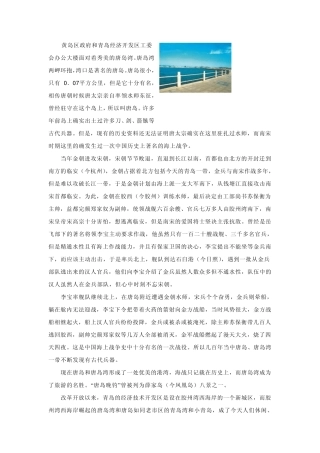 唐岛湾调研报告