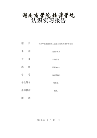 商业街人流量与市场调查分析报告