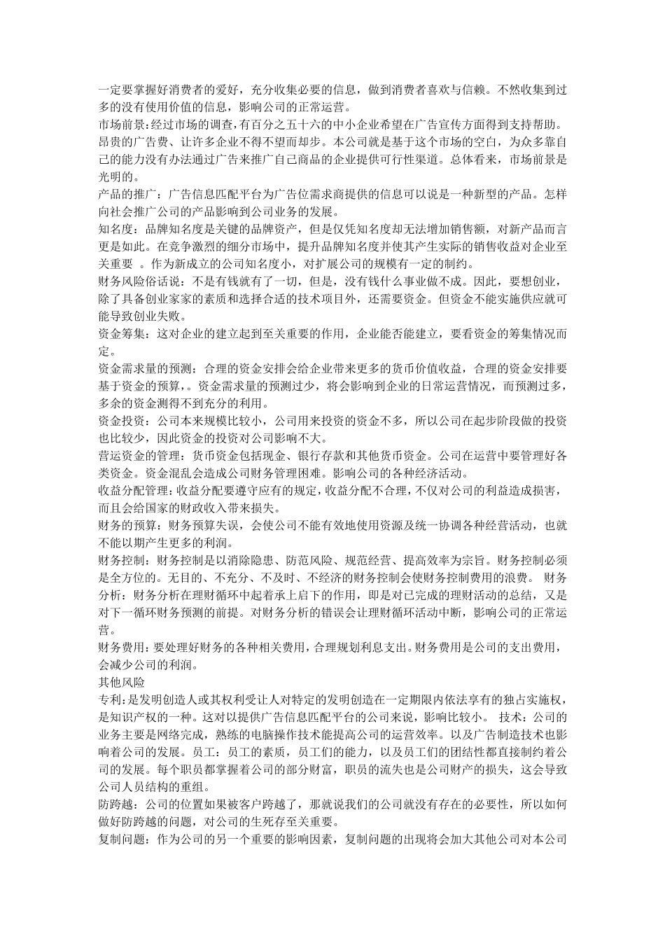 商业计划书风险_第2页