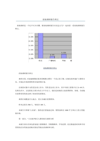 商场调研报告范文