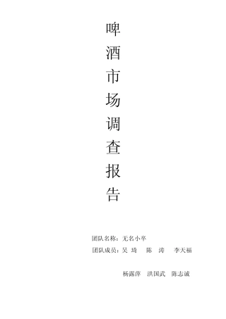 啤酒市场调研报告