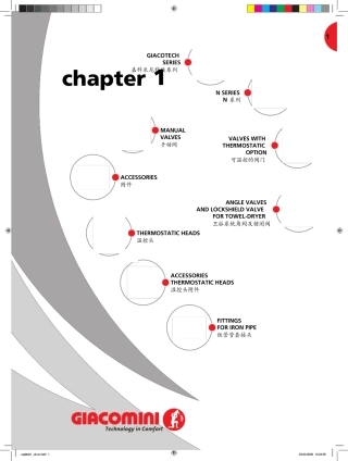 嘉科米尼阀门资料