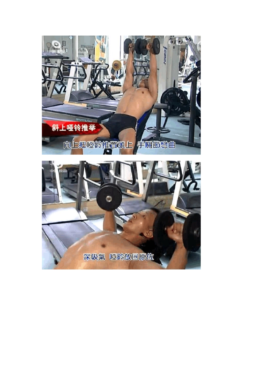 器械健身完全指南(图文并茂哦)_第3页