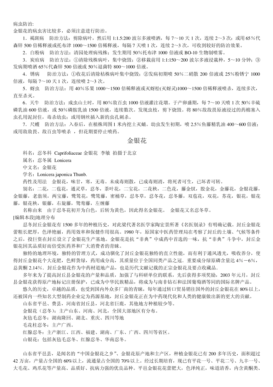 四季树形金银花_第2页