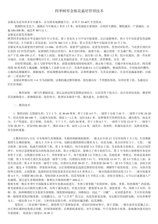 四季树形金银花