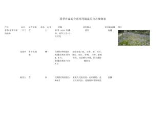 四季花海的花卉表