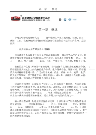 四川自贡生产实习报告