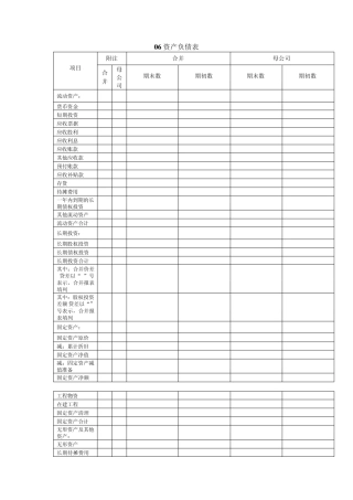 四川长虹06年资产负债表、利润表、现金流量表