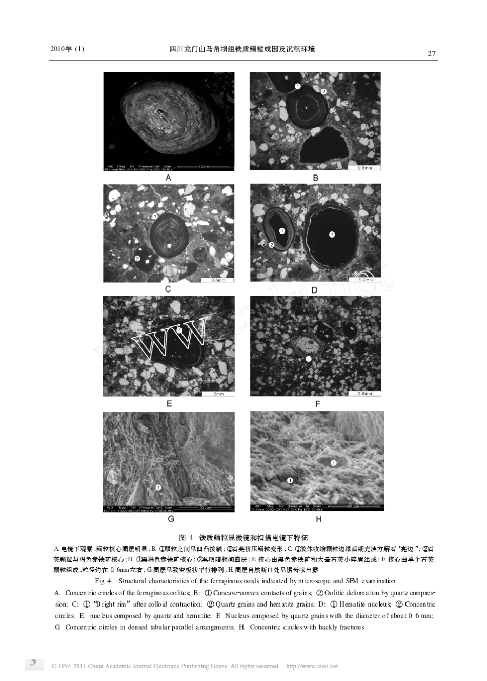 四川龙门山马角坝组铁质鲕粒成因及沉积环境_第3页