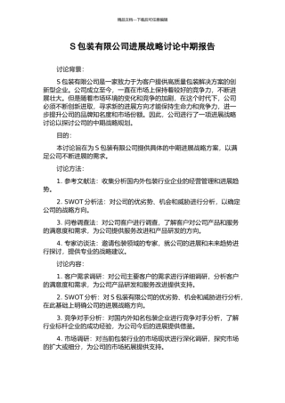 S包装有限公司发展战略研究中期报告