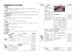 s探究鱼类适应水中生活的特征