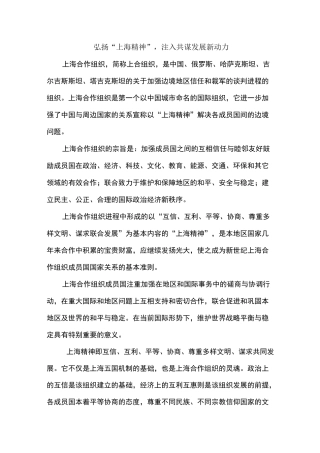 弘扬“上海精神”