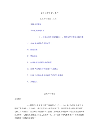 内部审计报告范文