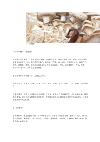 54种食用蘑菇的种类