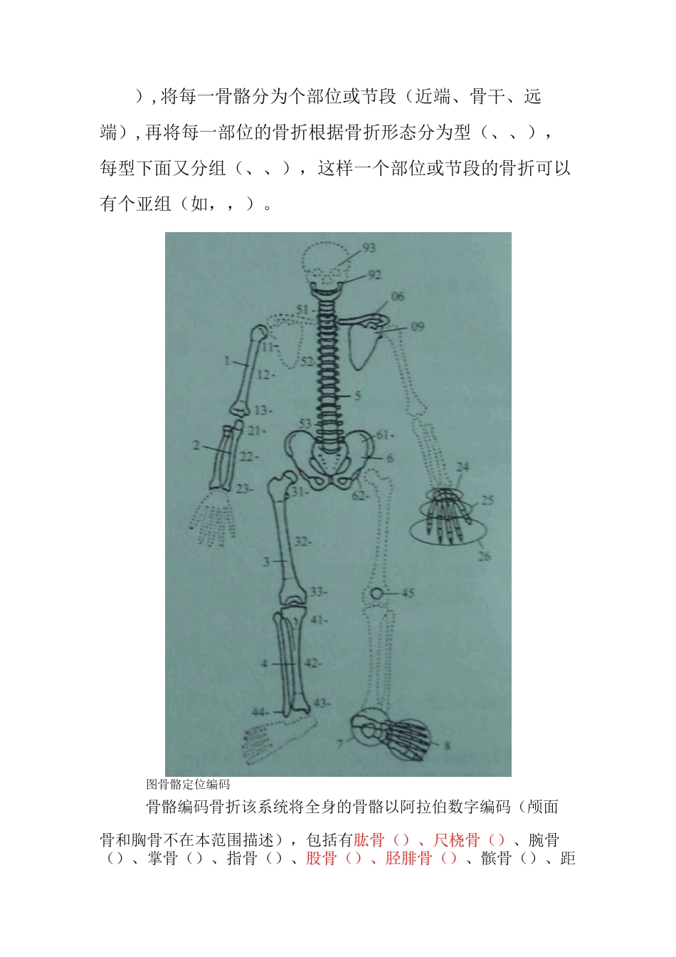 骨折的AO分型讲解_第2页