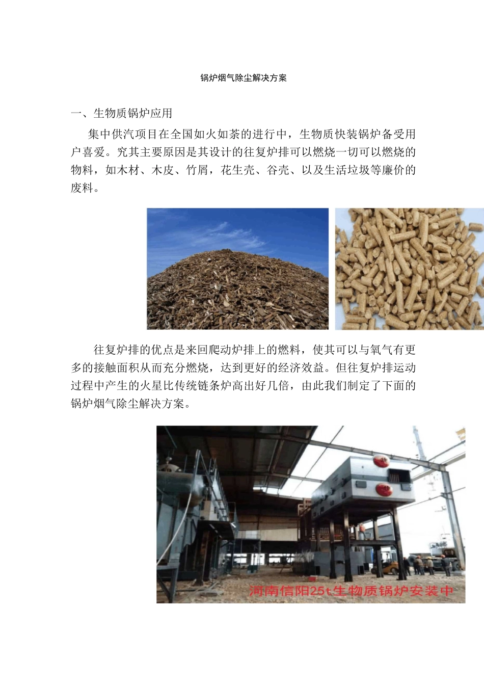 锅炉除尘解决方案_第1页