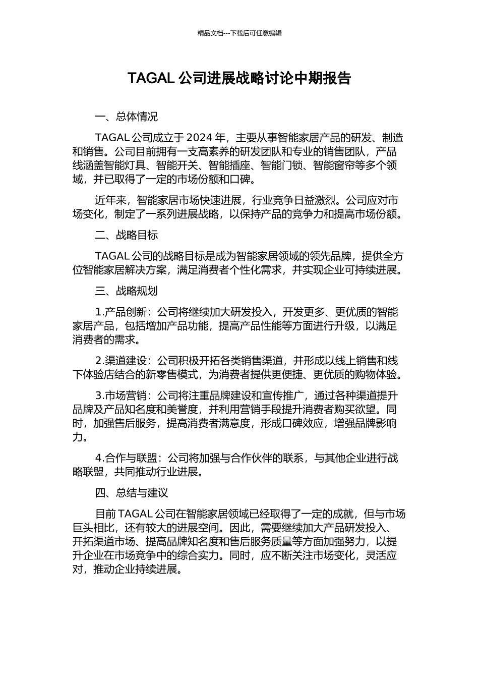 TAGAL公司发展战略研究中期报告_第1页