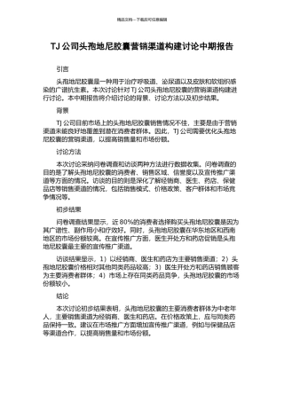 TJ公司头孢地尼胶囊营销渠道构建研究中期报告